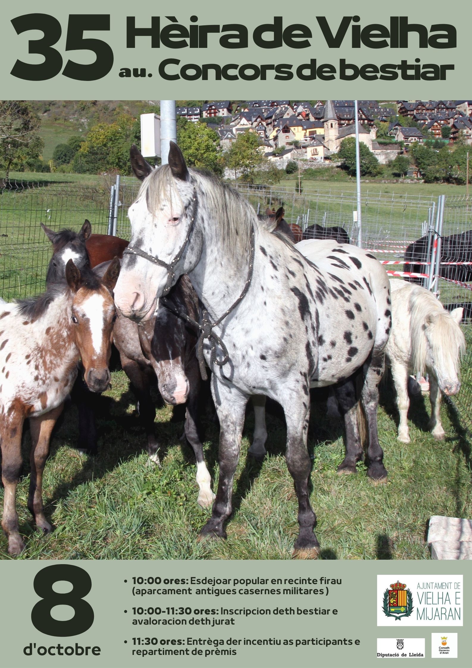 Hèira de bestiar Vielha Visitvaldaran Valle de Arán